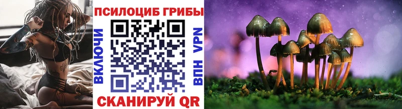 Псилоцибиновые грибы MAGIC MUSHROOMS  купить  сайты  Абдулино 