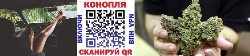 Бошки Шишки семена  Абдулино 
